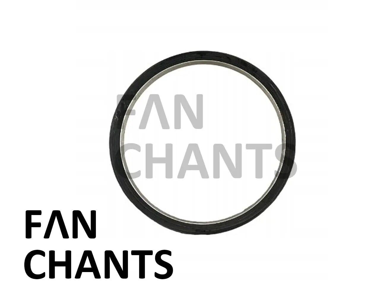 FANCHANTS 2489672 FAN RING FOR SCANIA
